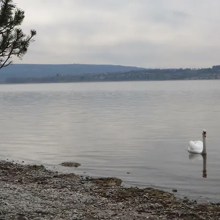 Auszeit Am Bodensee Lägenhet *