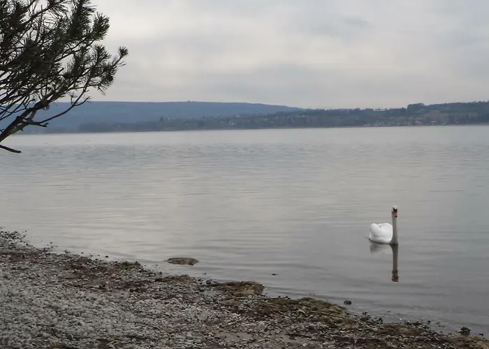 Auszeit Am Bodensee דירה *