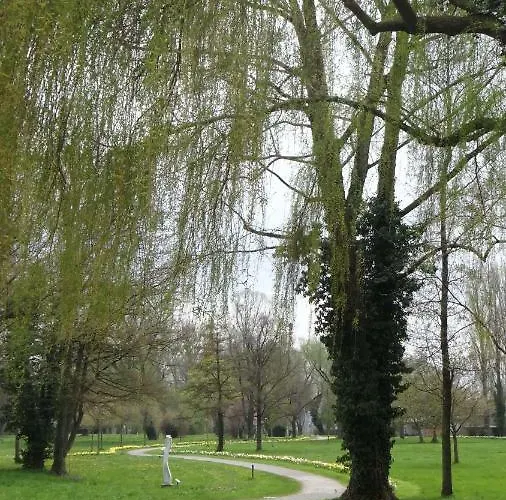 Auszeit Am Bodensee דירה רדולפצל אם בודנזי