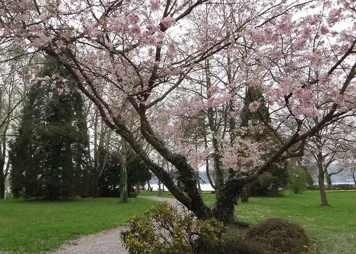 Lägenhet Auszeit Am Bodensee